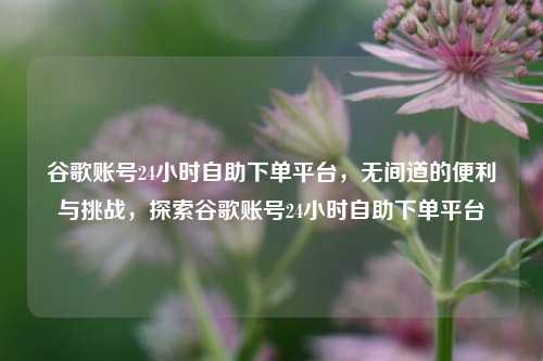 谷歌账号24小时自助下单平台，无间道的便利与挑战，探索谷歌账号24小时自助下单平台  第1张