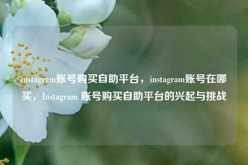 instagram账号购买自助平台，instagram账号在哪买，Instagram 账号购买自助平台的兴起与挑战