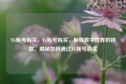 TG账号购买，Tg账号购买，解锁数字世界的钥匙，揭秘如何通过TG账号购买