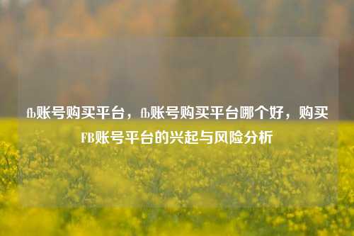 fb账号购买平台，fb账号购买平台哪个好，购买FB账号平台的兴起与风险分析