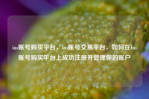 ins账号购买平台，ins账号交易平台，如何在Ins账号购买平台上成功注册并管理你的账户