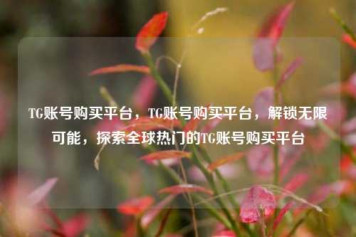 TG账号购买平台，TG账号购买平台，解锁无限可能，探索全球热门的TG账号购买平台