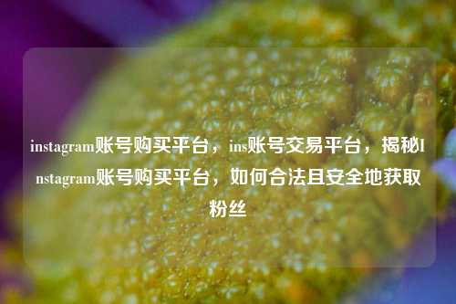 instagram账号购买平台，ins账号交易平台	，揭秘Instagram账号购买平台，如何合法且安全地获取粉丝  第1张
