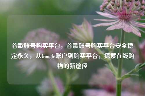 谷歌账号购买平台，谷歌账号购买平台安全稳定永久，从Google账户到购买平台，探索在线购物的新途径