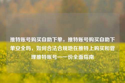 推特账号购买自助下单，推特账号购买自助下单安全吗，如何合法合规地在推特上购买和管理推特账号—一份全面指南