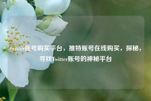 twitter账号购买平台，推特账号在线购买，探秘，寻找Twitter账号的神秘平台