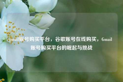 gmail账号购买平台	，谷歌账号在线购买，Gmail 账号购买平台的崛起与挑战  第1张