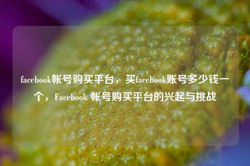 facebook帐号购买平台，买facebook账号多少钱一个，Facebook 帐号购买平台的兴起与挑战