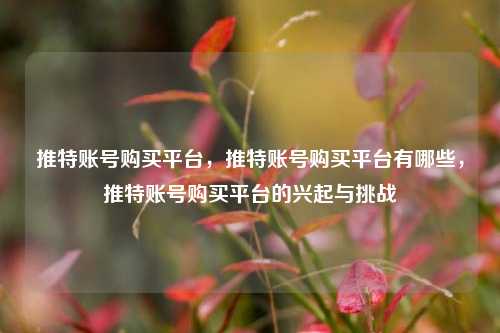 推特账号购买平台，推特账号购买平台有哪些	，推特账号购买平台的兴起与挑战  第1张