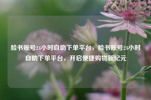脸书账号24小时自助下单平台，脸书账号24小时自助下单平台，开启便捷购物新纪元