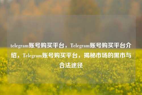 telegram账号购买平台，Telegram账号购买平台介绍，Telegram账号购买平台	，揭秘市场的黑市与合法途径  第1张