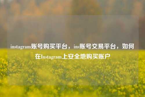 instagram账号购买平台，ins账号交易平台，如何在Instagram上安全地购买账户