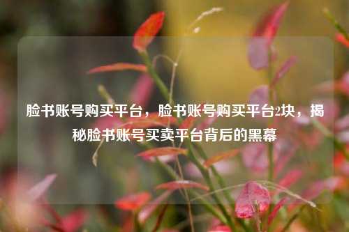 脸书账号购买平台，脸书账号购买平台2块，揭秘脸书账号买卖平台背后的黑幕