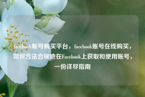 facebook帐号购买平台，facebook账号在线购买，如何合法合规地在Facebook上获取和使用账号，一份详尽指南
