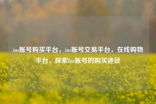ins账号购买平台，ins账号交易平台	，在线购物平台，探索Ins账号的购买途径  第1张