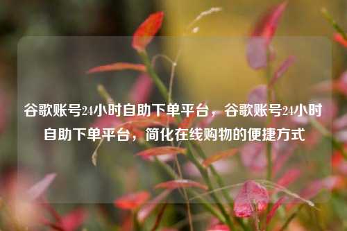 谷歌账号24小时自助下单平台，谷歌账号24小时自助下单平台，简化在线购物的便捷方式