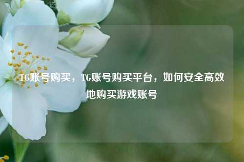 TG账号购买，TG账号购买平台，如何安全高效地购买游戏账号