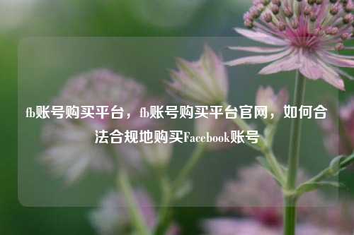 fb账号购买平台，fb账号购买平台官网，如何合法合规地购买Facebook账号