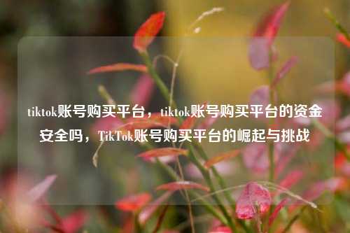 tiktok账号购买平台，tiktok账号购买平台的资金安全吗，TikTok账号购买平台的崛起与挑战