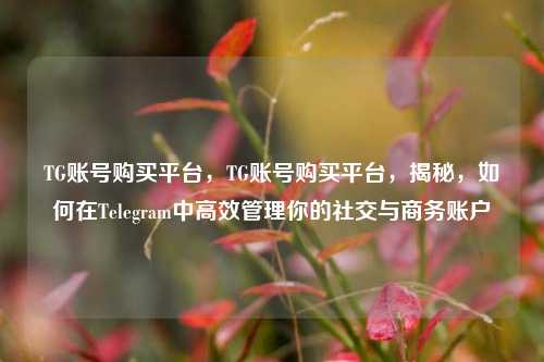 TG账号购买平台，TG账号购买平台，揭秘，如何在Telegram中高效管理你的社交与商务账户
