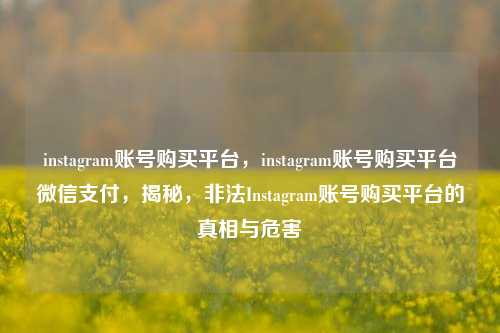 instagram账号购买平台，instagram账号购买平台微信支付	，揭秘，非法Instagram账号购买平台的真相与危害  第1张