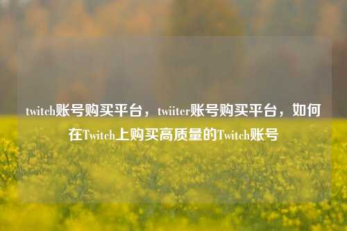 twitch账号购买平台，twiiter账号购买平台，如何在Twitch上购买高质量的Twitch账号