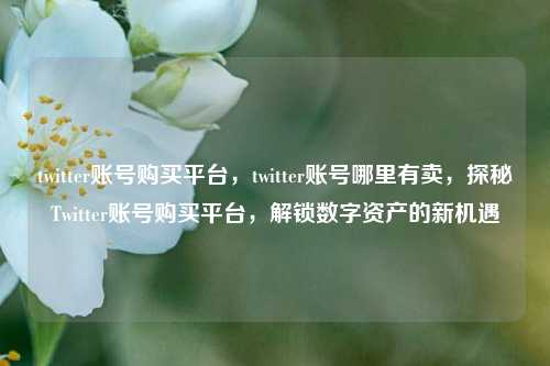 twitter账号购买平台，twitter账号哪里有卖，探秘Twitter账号购买平台，解锁数字资产的新机遇