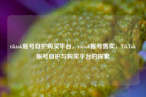 tiktok账号自护购买平台，tiktok账号售卖，TikTok账号自护与购买平台的探索