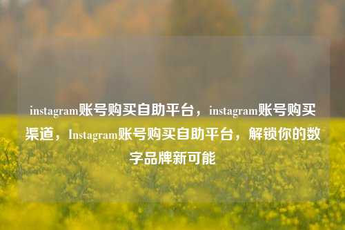 instagram账号购买自助平台，instagram账号购买渠道，Instagram账号购买自助平台，解锁你的数字品牌新可能