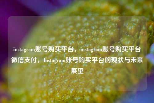instagram账号购买平台，instagram账号购买平台微信支付，Instagram账号购买平台的现状与未来展望