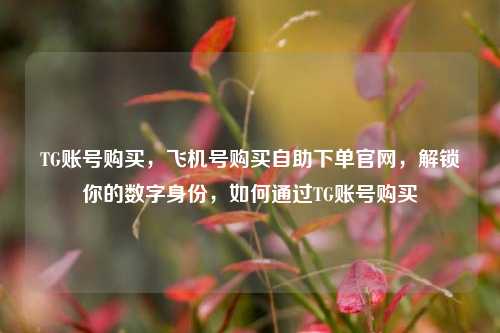 TG账号购买，飞机号购买自助下单官网，解锁你的数字身份，如何通过TG账号购买