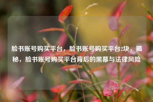 脸书账号购买平台，脸书账号购买平台2块，揭秘，脸书账号购买平台背后的黑幕与法律风险