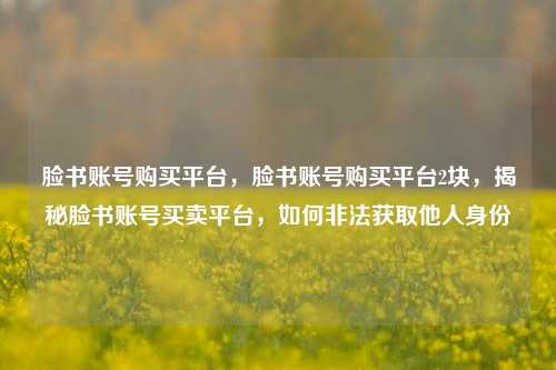 脸书账号购买平台，脸书账号购买平台2块，揭秘脸书账号买卖平台，如何非法获取他人身份