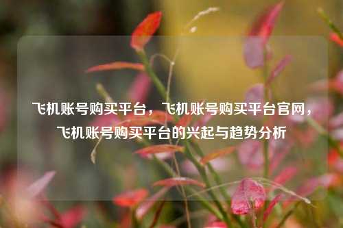 飞机账号购买平台	，飞机账号购买平台官网，飞机账号购买平台的兴起与趋势分析  第1张