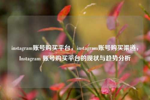 instagram账号购买平台，instagram账号购买渠道，Instagram 账号购买平台的现状与趋势分析