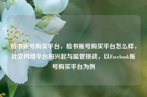 脸书账号购买平台，脸书账号购买平台怎么样，社交网络平台的兴起与监管挑战，以Facebook账号购买平台为例