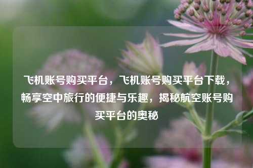 飞机账号购买平台，飞机账号购买平台下载，畅享空中旅行的便捷与乐趣，揭秘航空账号购买平台的奥秘