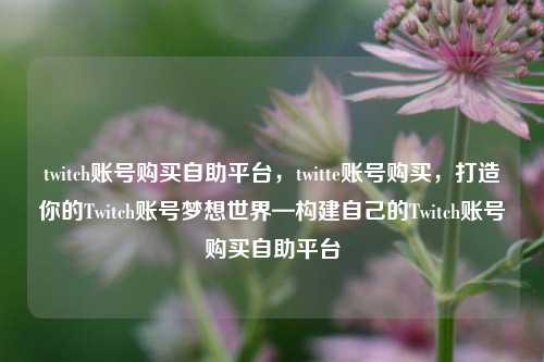 twitch账号购买自助平台，twitte账号购买，打造你的Twitch账号梦想世界—构建自己的Twitch账号购买自助平台