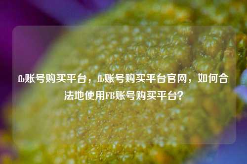 fb账号购买平台，fb账号购买平台官网，如何合法地使用FB账号购买平台？