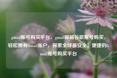 gmail账号购买平台，gmail邮箱谷歌账号购买，轻松拥有Gmail账户，探索全球最安全、便捷的Gmail账号购买平台