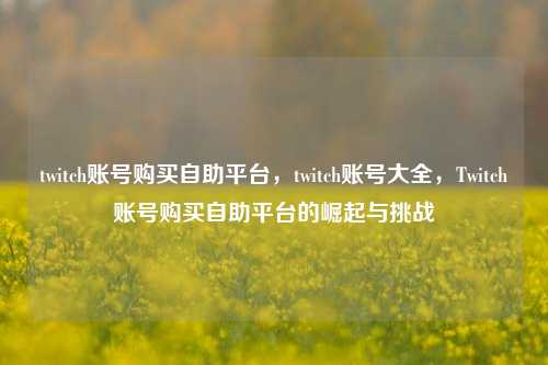 twitch账号购买自助平台，twitch账号大全，Twitch账号购买自助平台的崛起与挑战