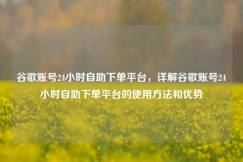 谷歌账号24小时自助下单平台，详解谷歌账号24小时自助下单平台的使用方法和优势