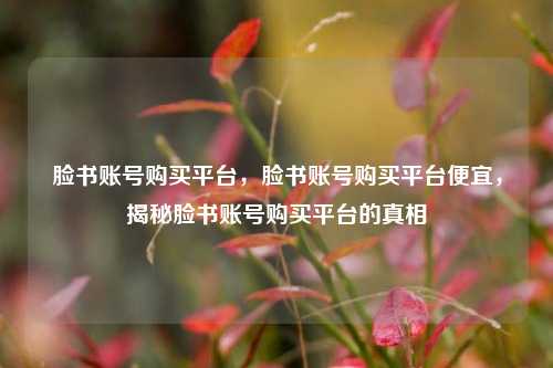 脸书账号购买平台，脸书账号购买平台便宜，揭秘脸书账号购买平台的真相