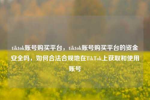 tiktok账号购买平台，tiktok账号购买平台的资金安全吗，如何合法合规地在TikTok上获取和使用账号