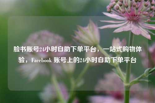 脸书账号24小时自助下单平台，一站式购物体验，Facebook 账号上的24小时自助下单平台
