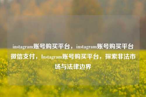 instagram账号购买平台，instagram账号购买平台微信支付，Instagram账号购买平台，探索非法市场与法律边界