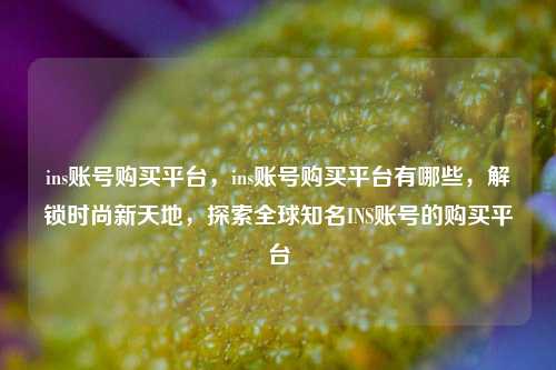 ins账号购买平台，ins账号购买平台有哪些，解锁时尚新天地，探索全球知名INS账号的购买平台
