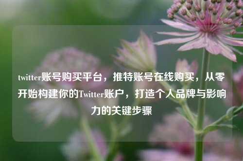 twitter账号购买平台，推特账号在线购买，从零开始构建你的Twitter账户，打造个人品牌与影响力的关键步骤