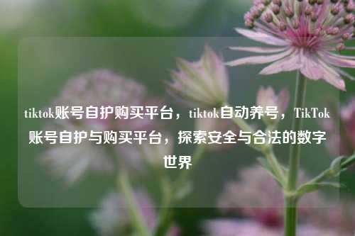 tiktok账号自护购买平台，tiktok自动养号，TikTok账号自护与购买平台，探索安全与合法的数字世界