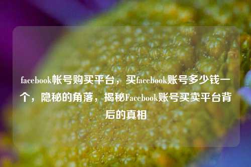 facebook帐号购买平台，买facebook账号多少钱一个，隐秘的角落，揭秘Facebook账号买卖平台背后的真相